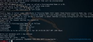 Как установить openvas kali linux