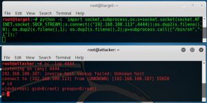 netcat reverse shell from browser
