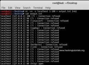 bash netcat and view files